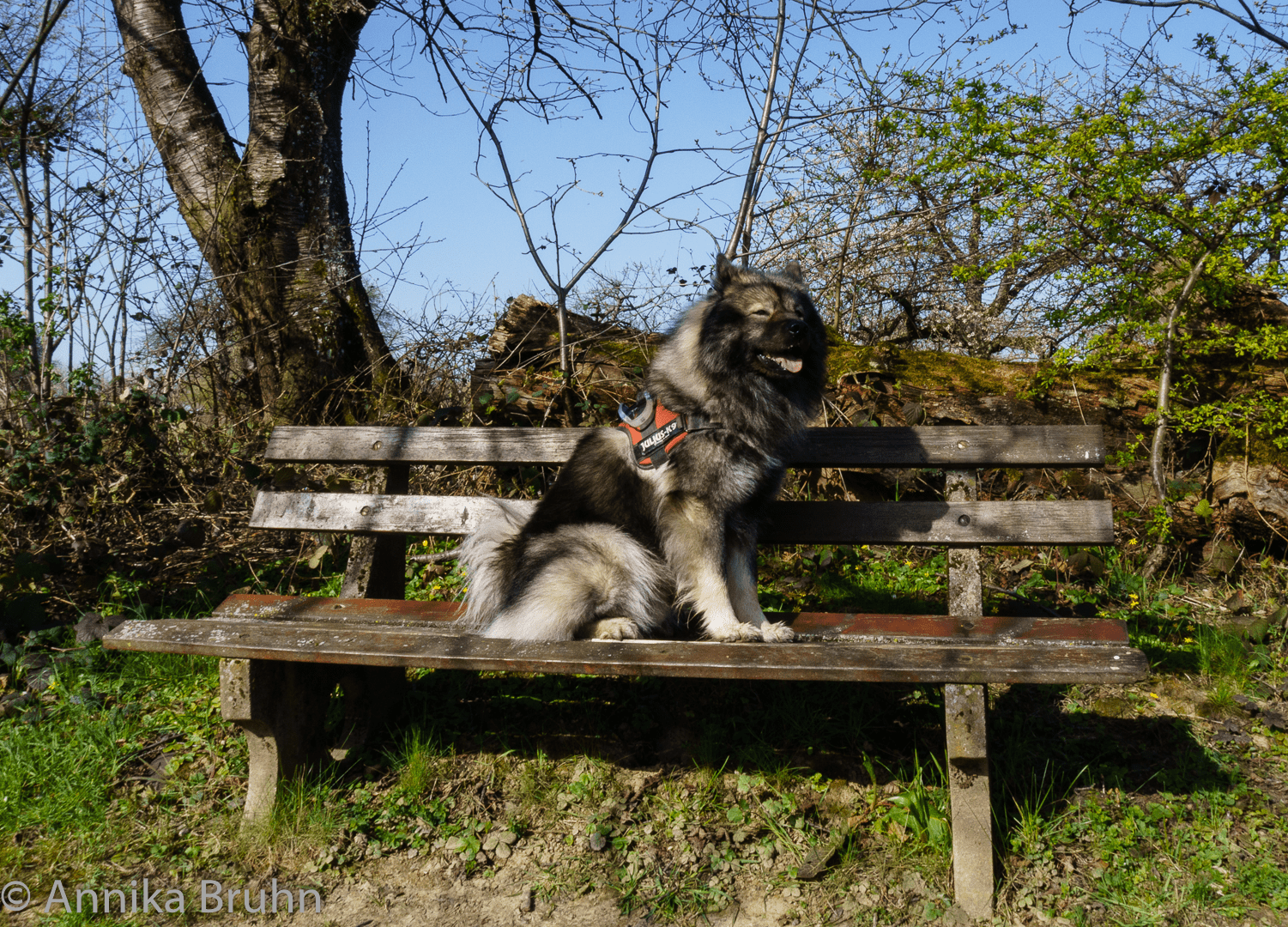 Q sitzt auf einer Bank